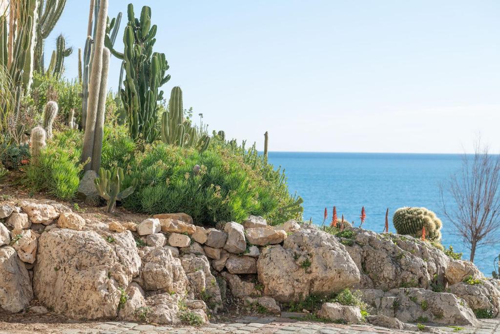Apartamento La Pablita, Vieil Antibes, Remparts Exterior foto